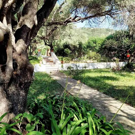 Stefanos By Hotelius Apartament